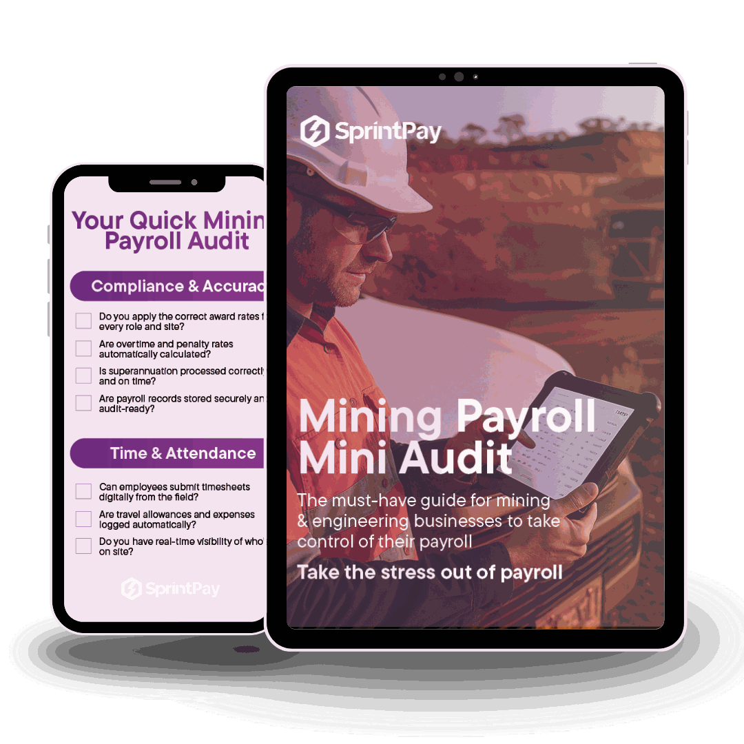 Mining Payroll Mini Audit on devices